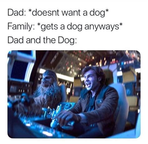 Dank Star Wars Memes For The Die Hard Fans Very Funny Memes Funny