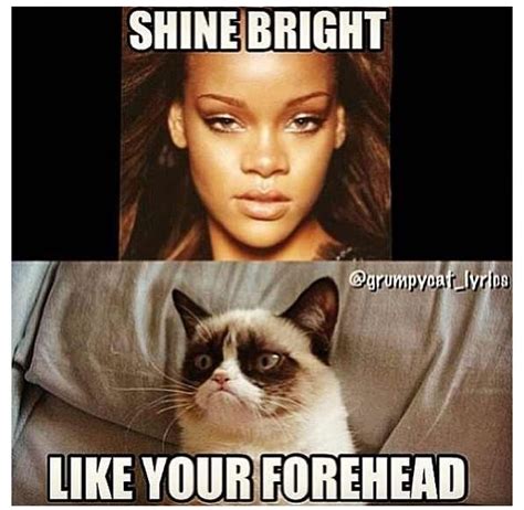 Hahahahaay Que Risa This Is A Good One Funny Grumpy Cat Memes