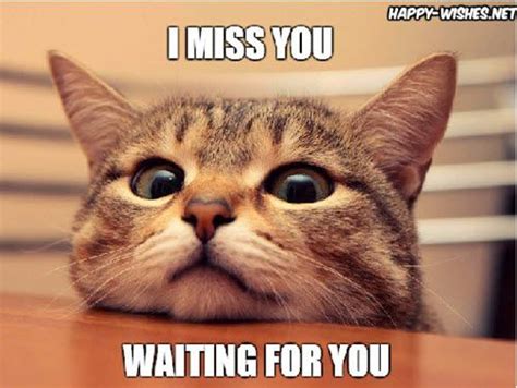 60 Cutest I Miss You Memes Of All Time Missing You