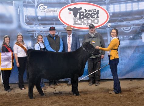 Iowa Beef Expo Angus Show Results The Pulse