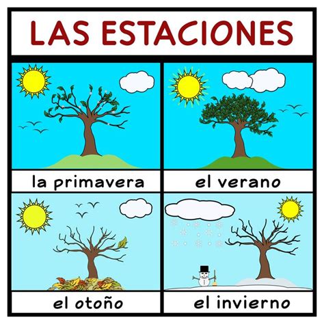 The Four Different Stages Of Spanish Tree Growth In Front Of A Blue Sky