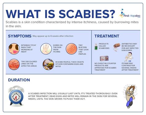 What Is Scabies How Do Scabies Feel And Spread Infographic