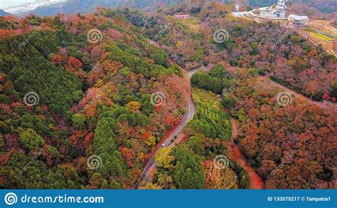 Aerial View Of Red Fall Foliage In Autumn Trees In Japan On Hil Stock