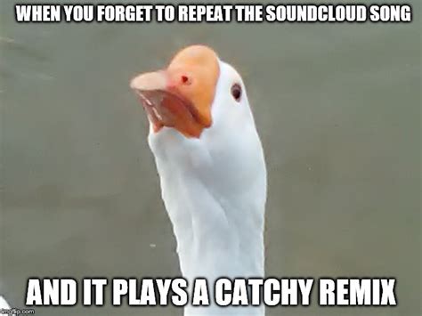 Mr Duck Likes Catchy Remixes Imgflip