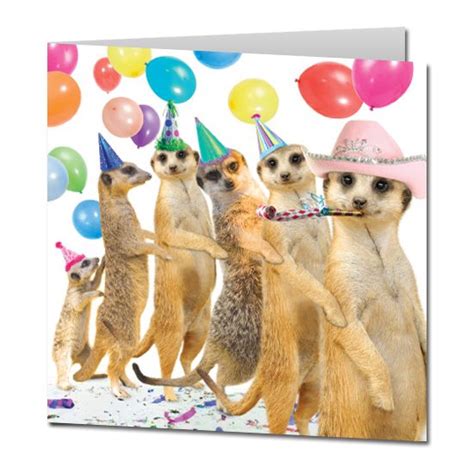 Belated Birthday Cards Happy Birthday Animals Happy Birthday