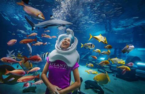 Dubai The Lost Chambers Aquarium Atlantis Aqua Trek Getyourguide