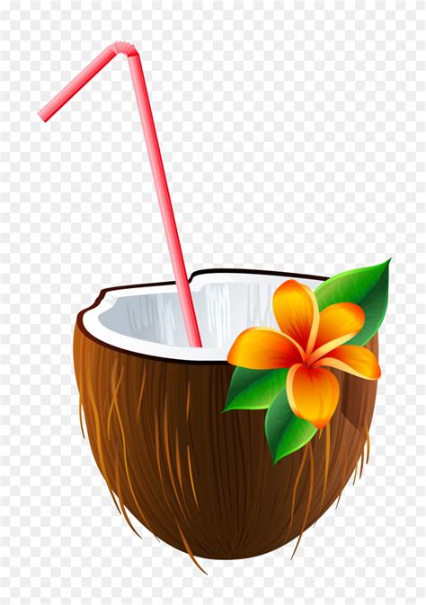 Coconut Tropical Drink Clipart Clip Art Images Chicka Chicka Boom The Best Porn Website