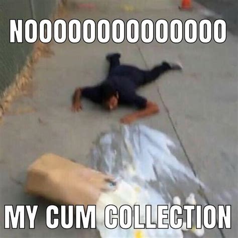 My Cum Collection Know Your Meme
