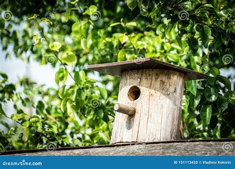 Birdhouse Wooden House For Birds Stock Photo Image Of Bright Nature