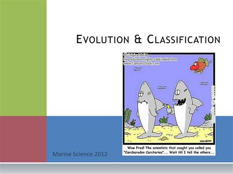 Ppt Evolution And Classification Powerpoint Presentation