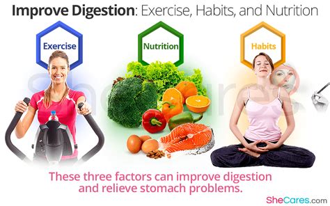 Improve Digestion Exercise Habits And Nutrition Shecares
