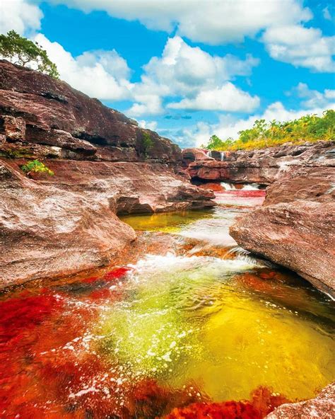 Also Known As The River Of Five Colors Or The Liquid Rainbow Caño