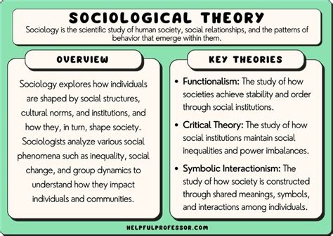 25 Famous Sociology Theories Examples And Applications 2024