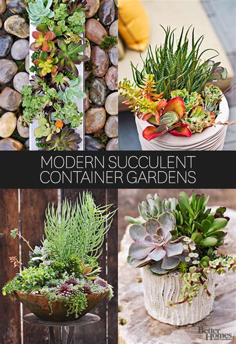 10 Fresh Ways To Add Succulents To Your Home Gardening Viral