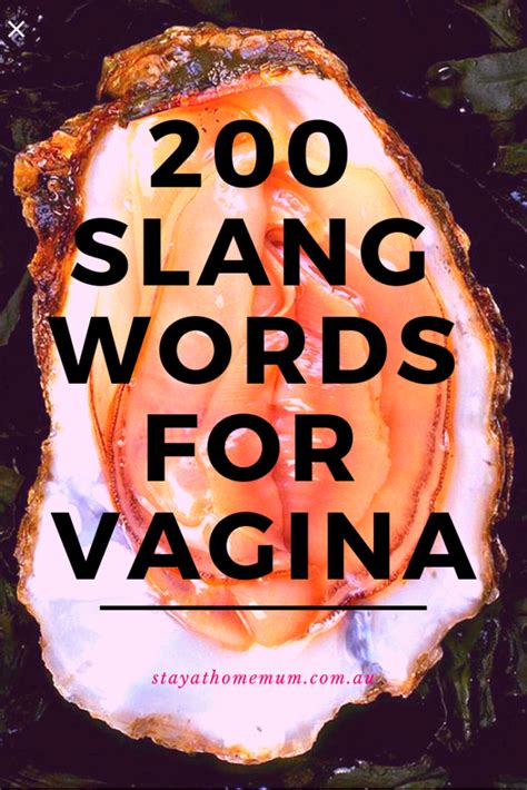 200 slang words for vagina stay at home mum