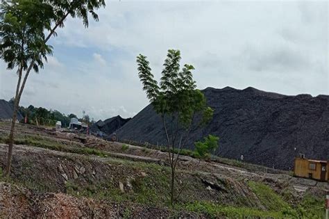 Abstrak pt arutmin indonesia,site kintap di kalimantan selatan berencana melakukan program konservasi energi dengan cara memaksimalkan penambangan batubara di pit 10 pama berupa merubah desain lereng akhir penambangan menjadi lereng remnant coal (pengambilan cadangan. Angkut Batubara di Jalan HPH, PT SMM dan PT ABB Dipersoalkan