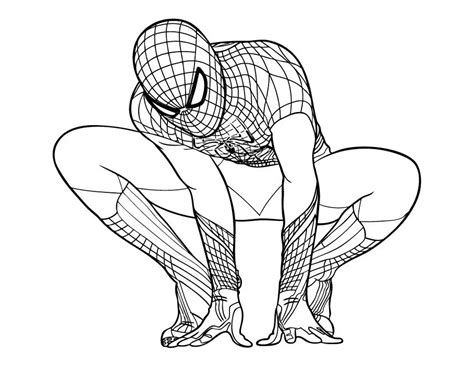 Sonhando Com Cores Spiderman Homem Aranha Para Colorir Kulturaupice