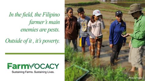 Help Filipino Farmers Receive Their Rice More Startsomegood