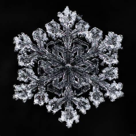17 Best Images About Snowflakes Snow Crystals Frost Ice On Pinterest
