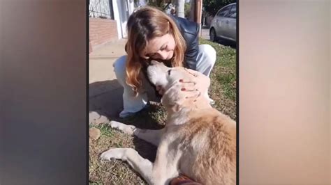 Se reencontró con el perro que había perdido hace 5 años y que nunca
