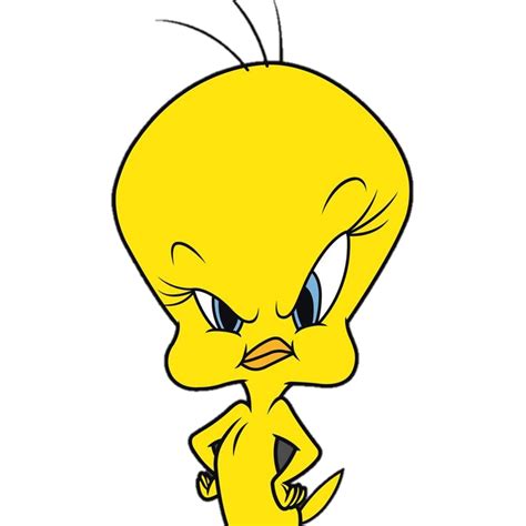Tweety Png Transparent Images Free Download Pngfre