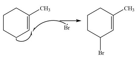 Draw The Structure Of The Product Formed Methylcyclohexene Reacts