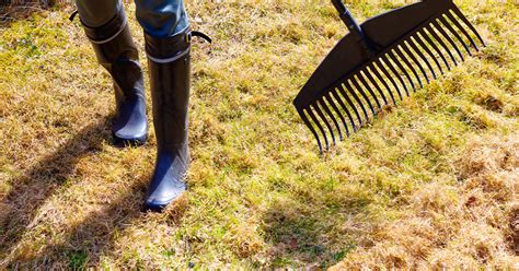 List Of 10 Best Way To Reseed Your Lawn