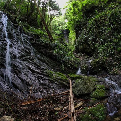Shirafuji Waterfall Fujieda Atualizado 2022 O Que Saber Antes De Ir
