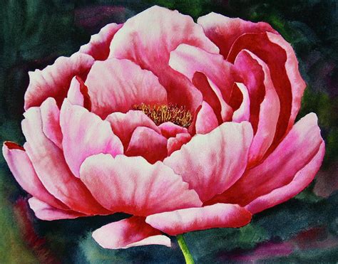 Peony In Bloom Painting By Eva Nichols Pixels