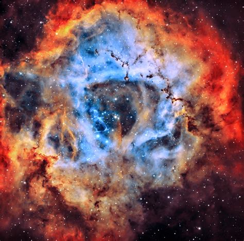 Rosette Nebula Rastrophotography
