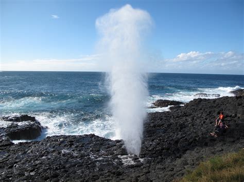 The 5 Best Blowholes In New South Wales