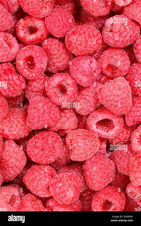 Raspberries Berry Fruits Collection Food Background Portrait Format