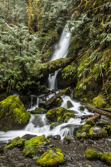 Olympic Peninsula Waterfall Road Trip Outdoor Project