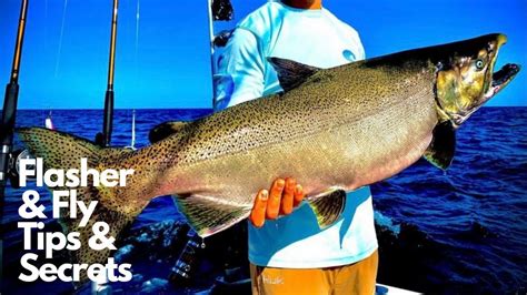 Flasher And Fly Fishing Secrets Tips And Tactics For King Salmon And