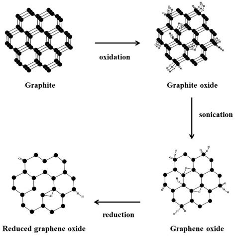 IJMS | Free Full-Text | The Effect of Reduced Graphene Oxide-Coated