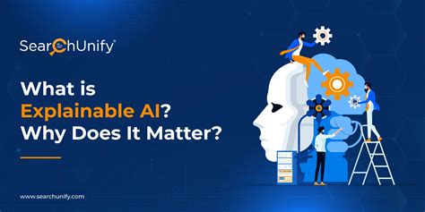 What Is Explainable Ai Why Does It Matter