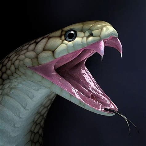 Cobra King Animation 3d Model Poisonous Snakes King Cobra Snake Snake