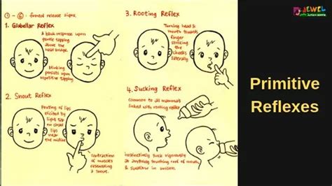 Primitive Reflexes Symptoms Of Retained Symmetrical Tonic Neck Reflex