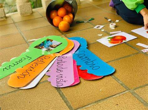 Día De Proyecto La Naranja Los Abetos Infantil