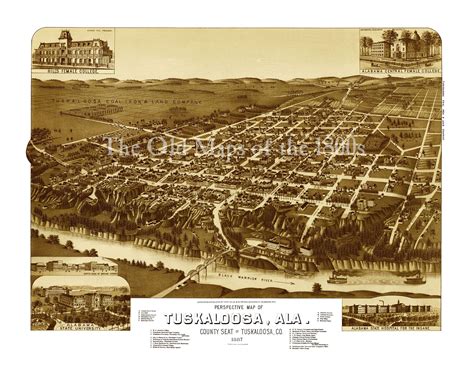 Tuscaloosa Alabama In 1887 Birds Eye View Map Aerial Panorama