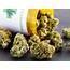 Understanding The Types Of Marijuana And Its Effects – Top Sites Health