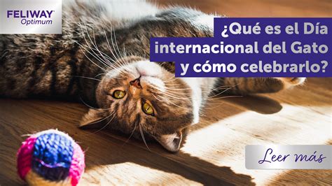 ¿qué Es El Día Internacional Del Gato Y Cómo Celebrarlo
