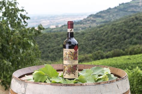 Oltre alle giornate mondiali sopra elencate, noi ci teniamo in particolar modo a citarne altre due: Dogajolo Toscano Rosso IGT: il vino giusto per celebrare ...