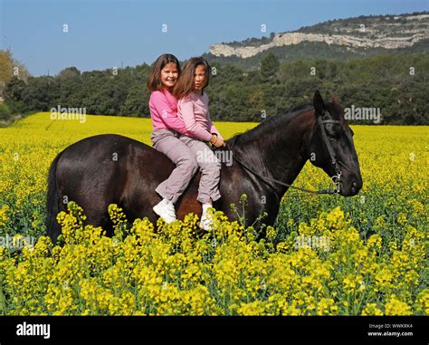 Twins Sisters Horseback Riding A Black Stallion Stock Photo Alamy