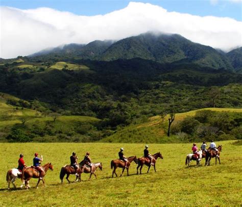 Horseback Riding To La Fortuna Waterfall Must Do Tour Arenal Volcano