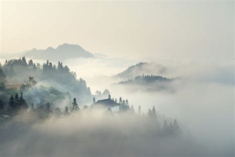 Morning Mist On Mountains Leinwandbilder Für Jedes Ambiente Photowall