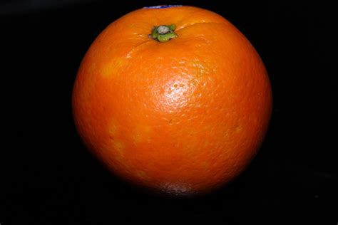 One Big Orange Fruit Free Stock Photo Public Domain Pictures