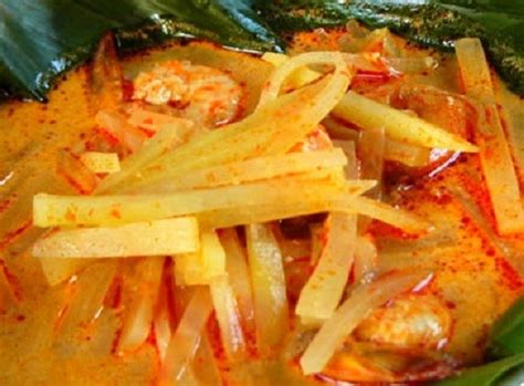 Bahan resep ketupat sayur betawi : Resep Masakan dan Cara Membuat Sayur Pepaya Muda Bumbu ...