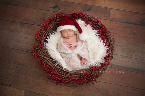Christmas Portrait Photography By Cathy Murai Photography Los Angeles