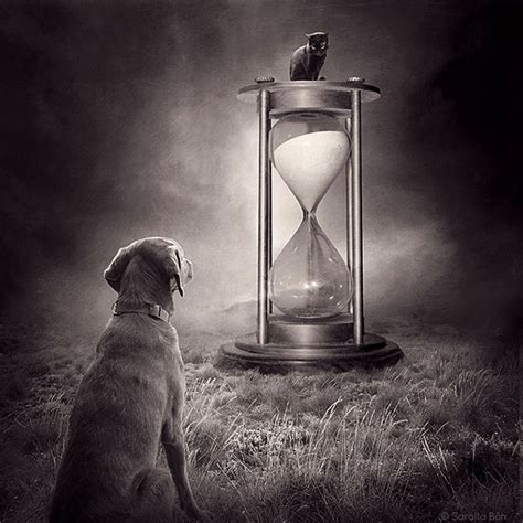 Photographer Creates Surreal Images To Promote Shelter Animals And Find